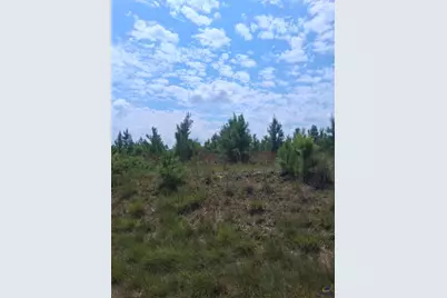 0 Abbeville Highway, Eastman, GA 31023 - Photo 2
