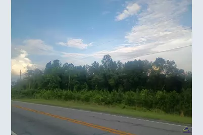 0 Abbeville Highway, Eastman, GA 31023 - Photo 12