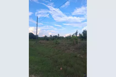 0 Abbeville Highway, Eastman, GA 31023 - Photo 6