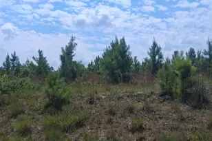 0 Abbeville Hwy, Eastman, GA 31023 - Photo 1