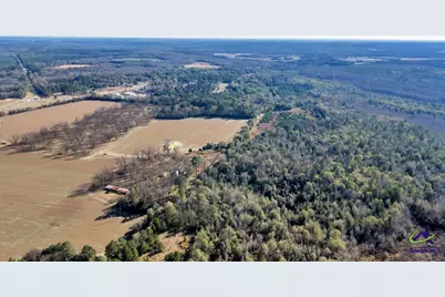 Sandbed Road/Hwy 247 Road, Kathleen, GA 31047 - Photo 4