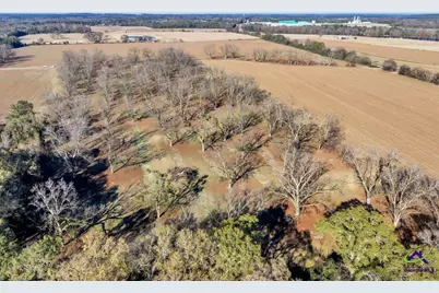 Sandbed Road/Hwy 247 Road, Kathleen, GA 31047 - Photo 30