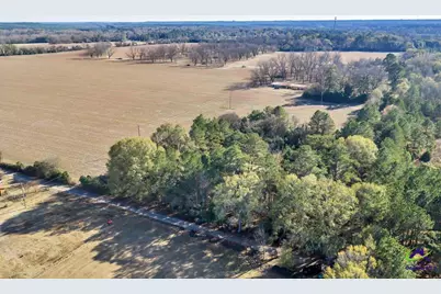 Sandbed Road/Hwy 247 Road, Kathleen, GA 31047 - Photo 14