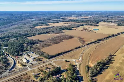 Sandbed Road/Hwy 247 Road, Kathleen, GA 31047 - Photo 22