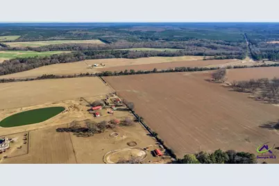 Sandbed Road/Hwy 247 Road, Kathleen, GA 31047 - Photo 2