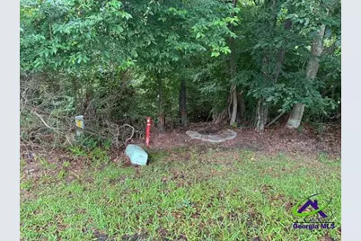 176 Waters Pointe, Lizella, GA 31052 - Photo 4