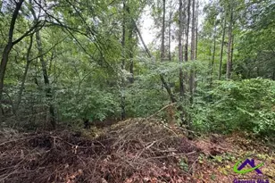 172 Waters Pointe, Lizella, GA 31052 - Photo 1