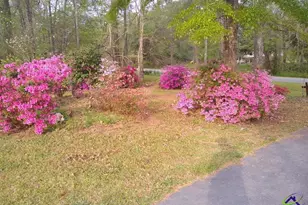 148 Homestead Dr, Gray, GA 31032 - Photo 38