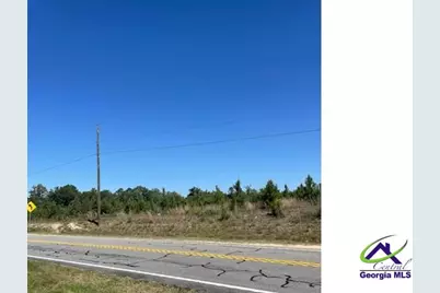 00 Abbevile Highway, Eastman, GA 31023 - Photo 2