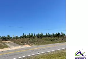00 Abbevile Hwy, Eastman, GA 31023 - Photo 1