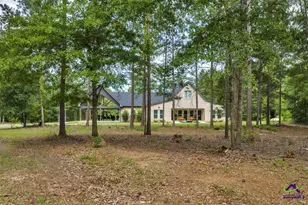 111 Brown Hill Rd, Elko, GA 31025 - Photo 2