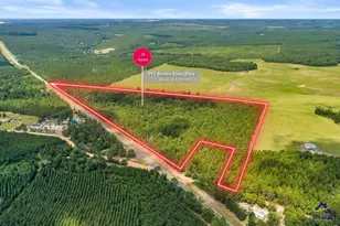 912 Buena Vista Hwy, Mauk, GA 31058 - Photo 1