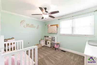 518 Mount Zion Road, Bonaire, GA 31005 - Photo 14
