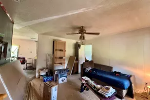 24 Walter Barrett Rd, Mcrae, GA 31055 - Photo 38