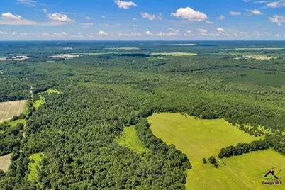 0 Sandbed Road, Kathleen, GA 31047 - Photo 16