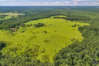 0 Sandbed Road, Kathleen, GA 31047 - Photo 12