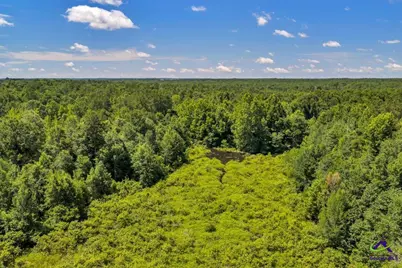 0 Sandbed Road, Kathleen, GA 31047 - Photo 36