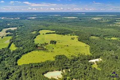 0 Sandbed Road, Kathleen, GA 31047 - Photo 6