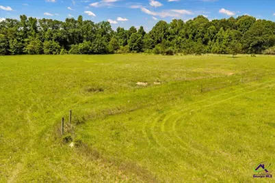 0 Sandbed Road, Kathleen, GA 31047 - Photo 28