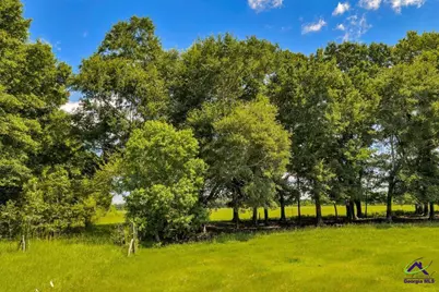 0 Sandbed Road, Kathleen, GA 31047 - Photo 32