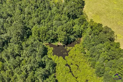 0 Sandbed Road, Kathleen, GA 31047 - Photo 38