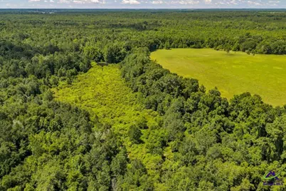 0 Sandbed Road, Kathleen, GA 31047 - Photo 34