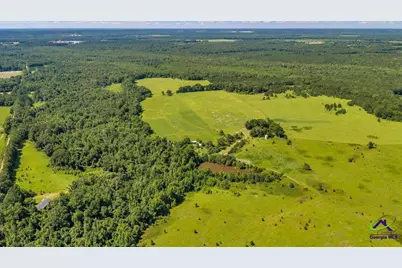 0 Sandbed Road, Kathleen, GA 31047 - Photo 10
