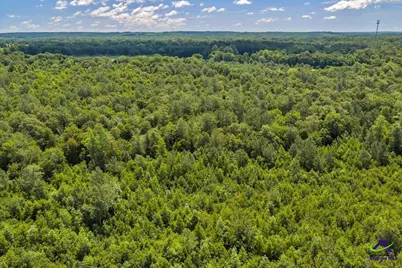 0 Sandbed Road, Kathleen, GA 31047 - Photo 26