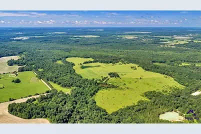 0 Sandbed Road, Kathleen, GA 31047 - Photo 8