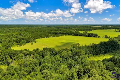 0 Sandbed Road, Kathleen, GA 31047 - Photo 44