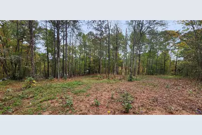 18 E Mourning Dove Court, Monticello, GA 31064 - Photo 2