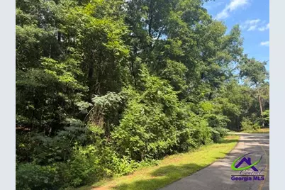 0 Alexander Way, Fort Valley, GA 31030 - Photo 2