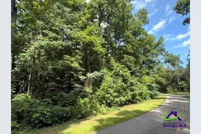 0 Alexander Way, Fort Valley, GA 31030 - Photo 1