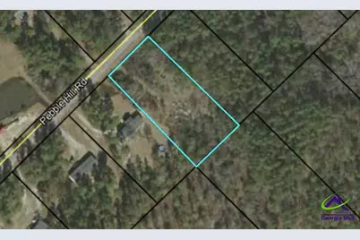 0 Pebble Hills Road, Cochran, GA 31014 - Photo 1