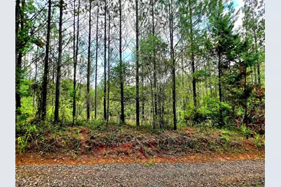 0 S Highway 42, Forsyth, GA 31029 - Photo 6