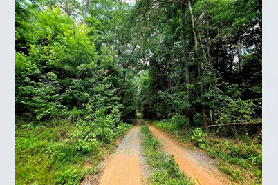 0 S Highway 42, Forsyth, GA 31029 - Photo 2