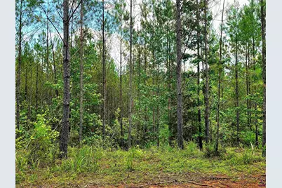 0 S Highway 42, Forsyth, GA 31029 - Photo 4