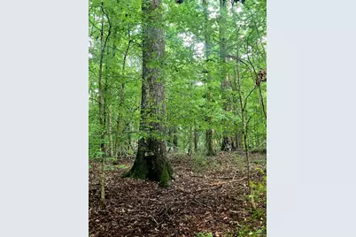 0 S Highway 42, Forsyth, GA 31029 - Photo 14