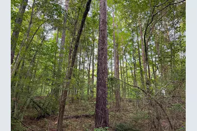 12.6 Acres Hicks Road, Roberta, GA 31078 - Photo 16