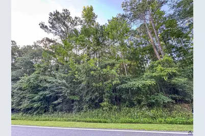 12.6 Acres Hicks Road, Roberta, GA 31078 - Photo 14