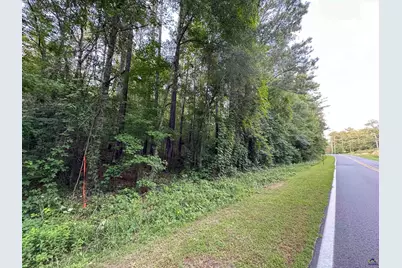 12.6 Acres Hicks Road, Roberta, GA 31078 - Photo 4
