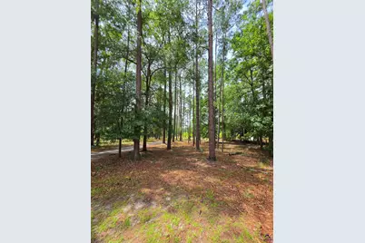 692 Albert Lampkin Road, Eastman, GA 31023 - Photo 6