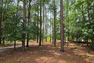 692 Albert Lampkin Rd, Eastman, GA 31023 - Photo 6