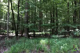 6889 Colaparchee Rd, Macon, GA 31210 - Photo 1