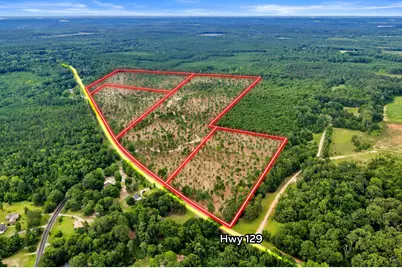 3 Hwy 129, Dry Branch, GA 31020 - Photo 1