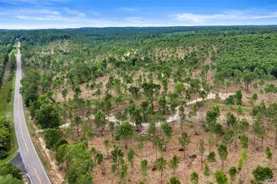 4 Hwy 129, Dry Branch, GA 31020 - Photo 6