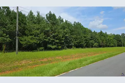 307  Lee Paul Rd, Elko, GA 31036 - Photo 1