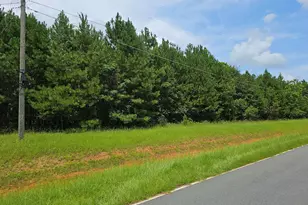 307 Lee Paul Rd, Elko, GA 31036 - Photo 1