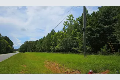 307  Lee Paul Rd, Elko, GA 31036 - Photo 2