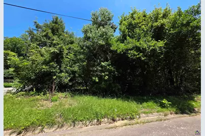 736 Peachtree Avenue, Macon, GA 31217 - Photo 2